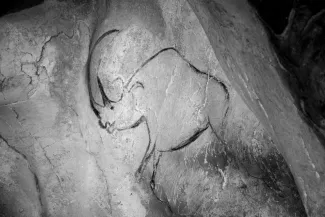 chauvet 2