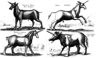 Jan Johnston Licornes