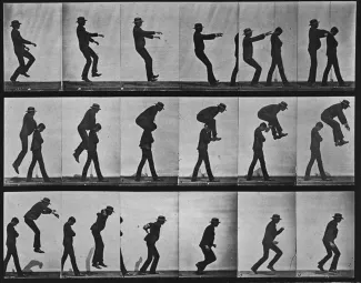Muybridge